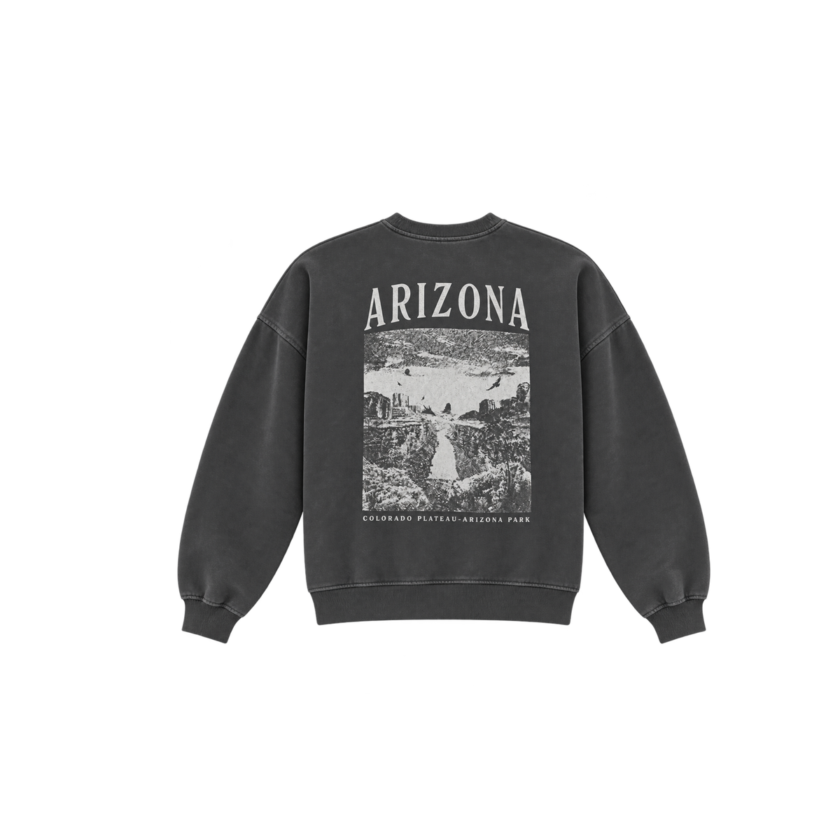 Concrete Arizona Crop Sweatshirt