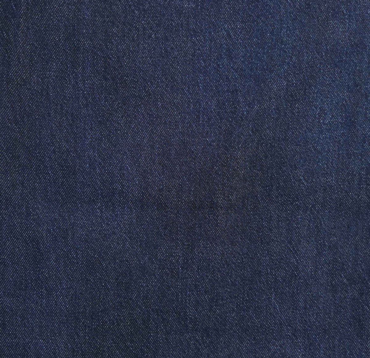 Blue Tencel Blend Baggy Pant